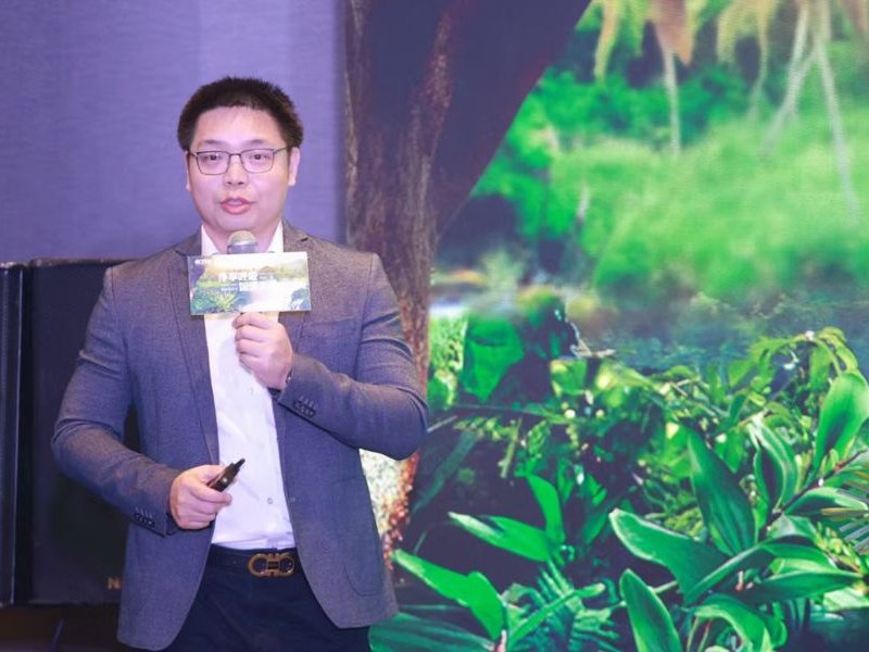 Alan 讲解 AI 落地案例